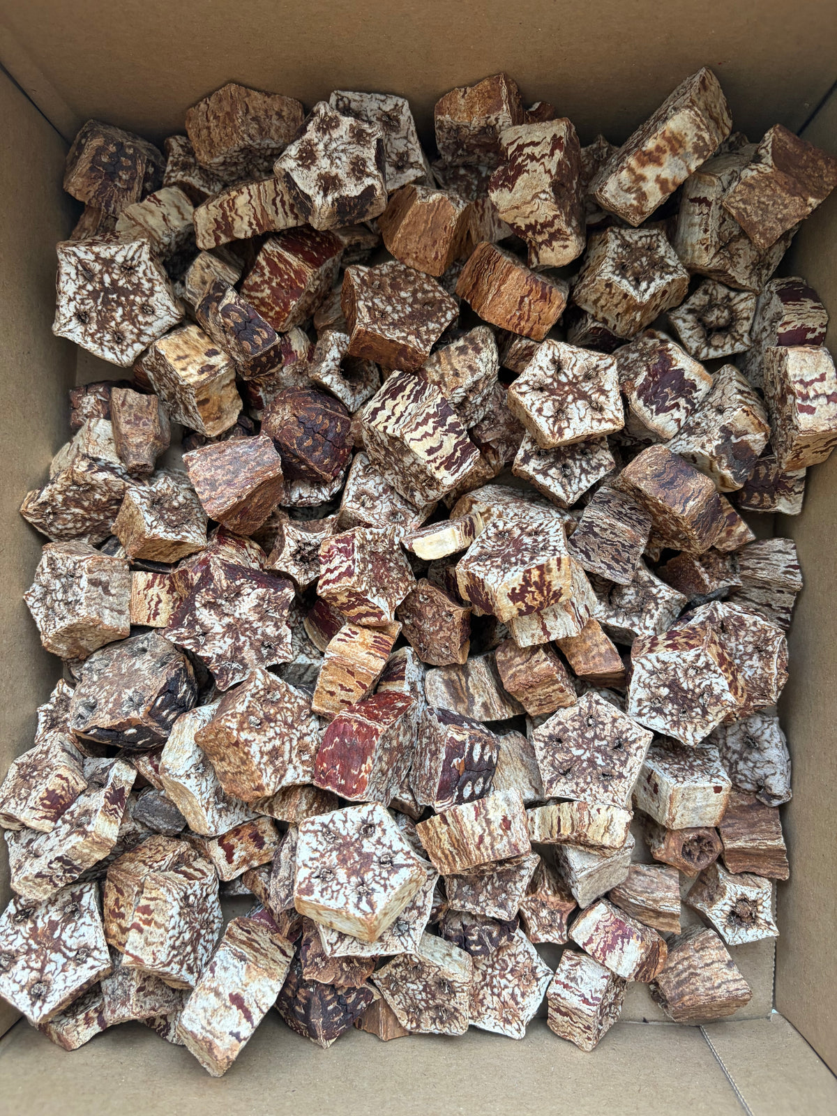 6 x Mahogany Pod Fruit Slices Chews For Small Animals