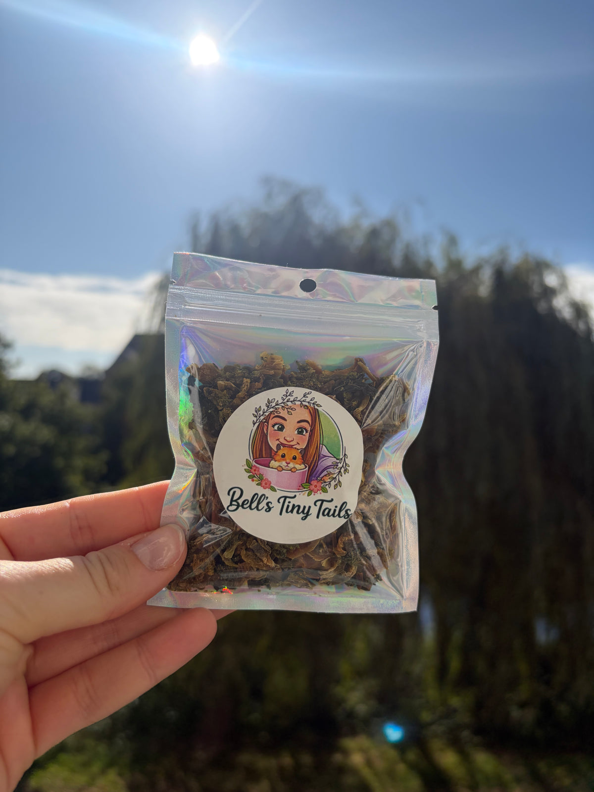 25g Dried Broccoli Treats For Small Animals