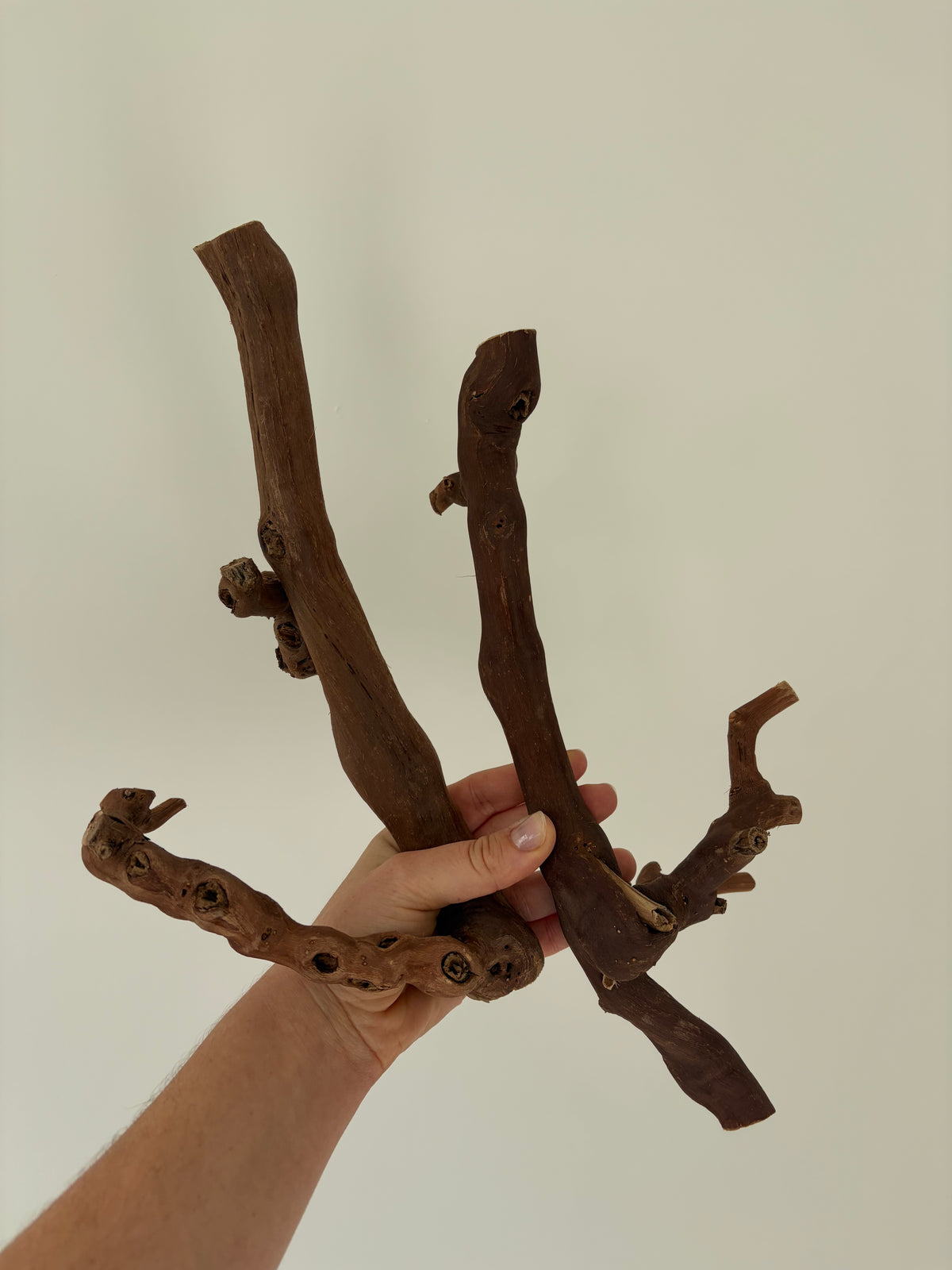 Grapevine Wood Branch