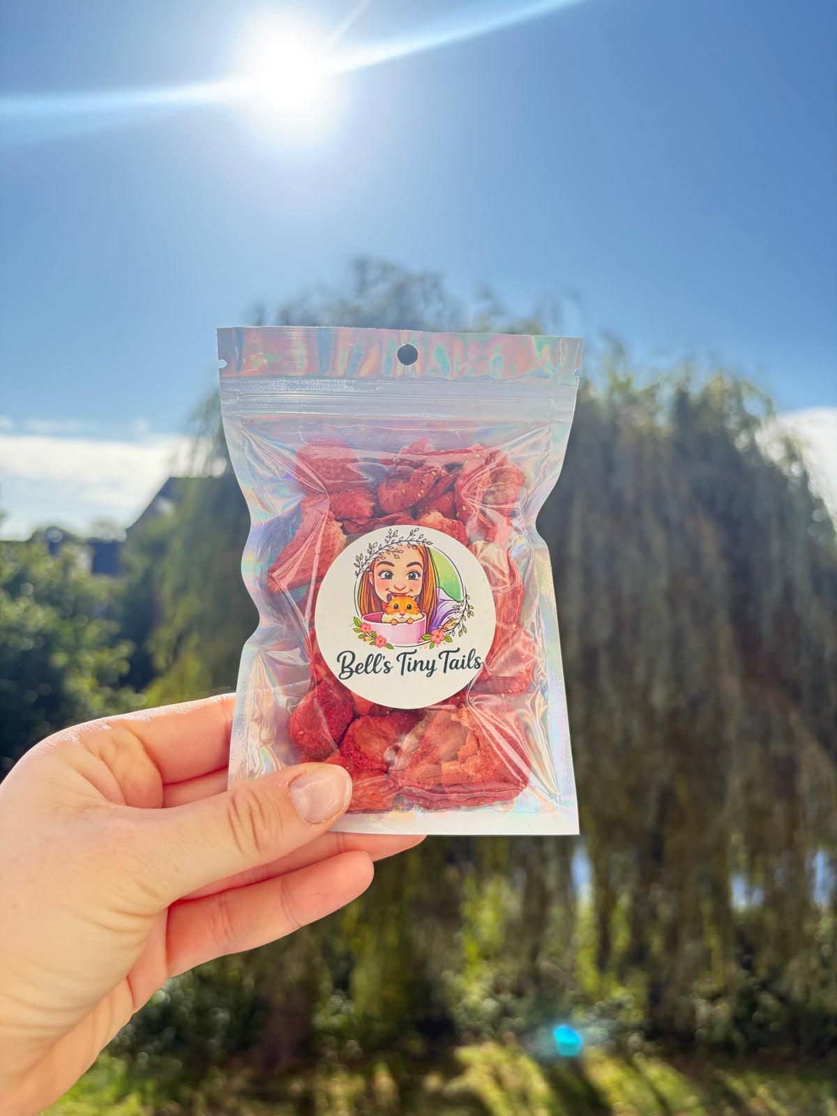 20g Freeze Dried Strawberry Treats