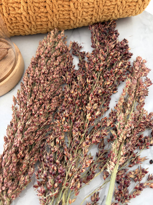 50g Schelli Seeded Sprays