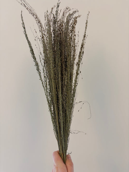 25g Pagima Coverage Sprays