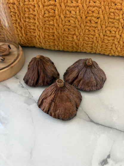 3 x Small Lotus Pods