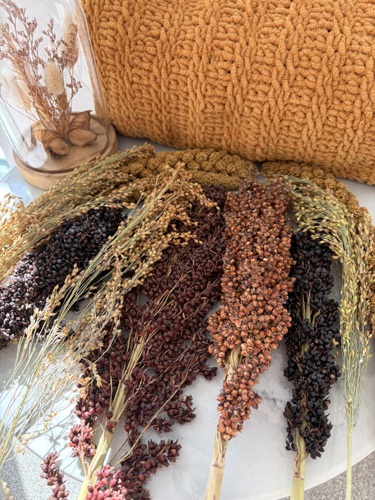 300g Variety Seeded Spray Bundle for Hamsters, Gerbils, Mice & Birds