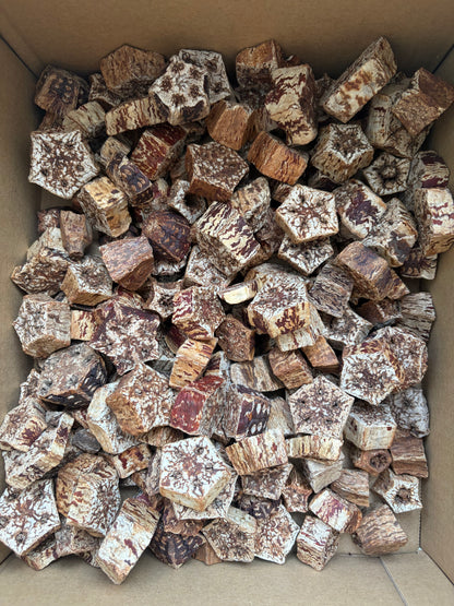 6 x Mahogany Pod Fruit Slices Chews For Small Animals