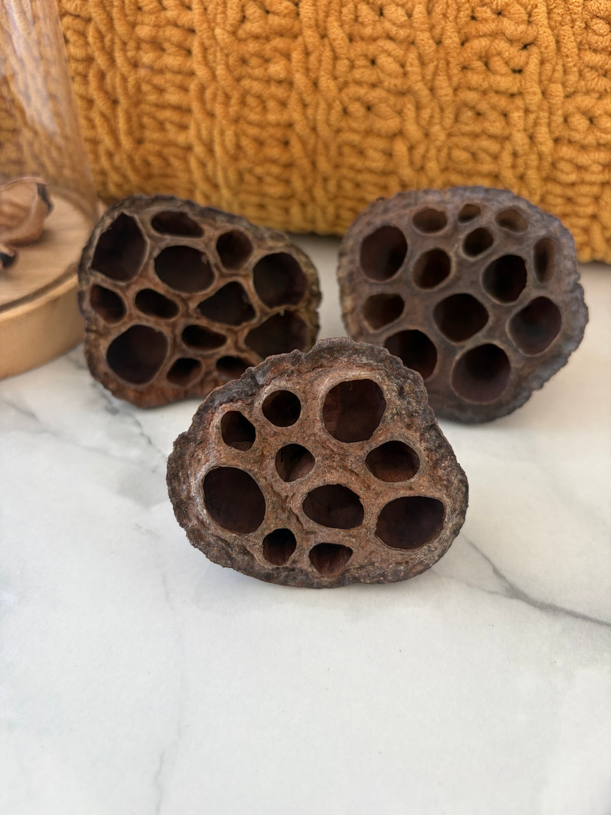 3 x Small Lotus Pods