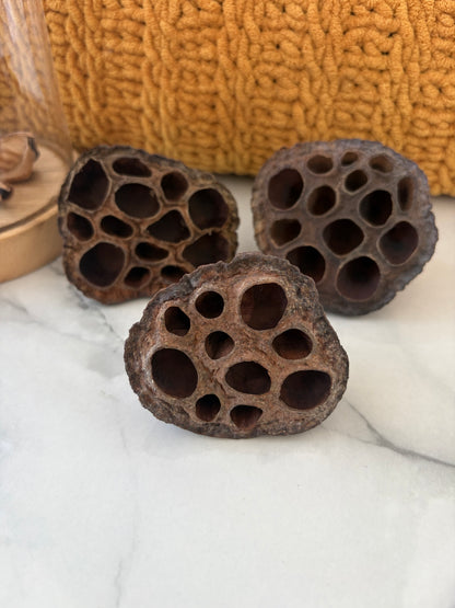 3 x Small Lotus Pods