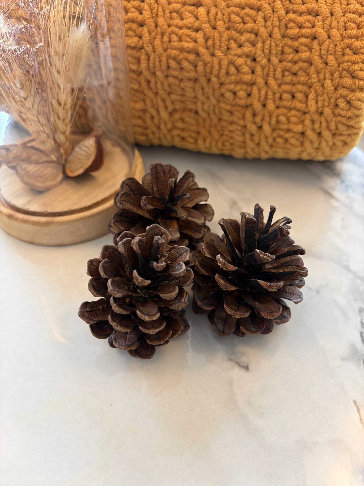 3 x Pine Cone Chews For Small Animals