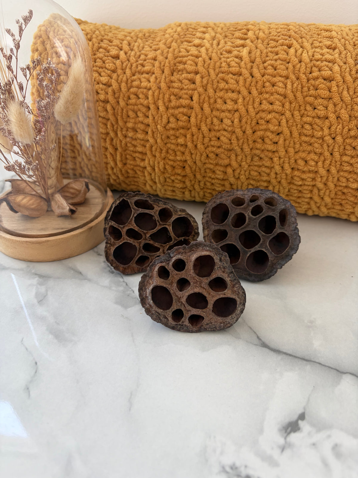 3 x Small Lotus Pods