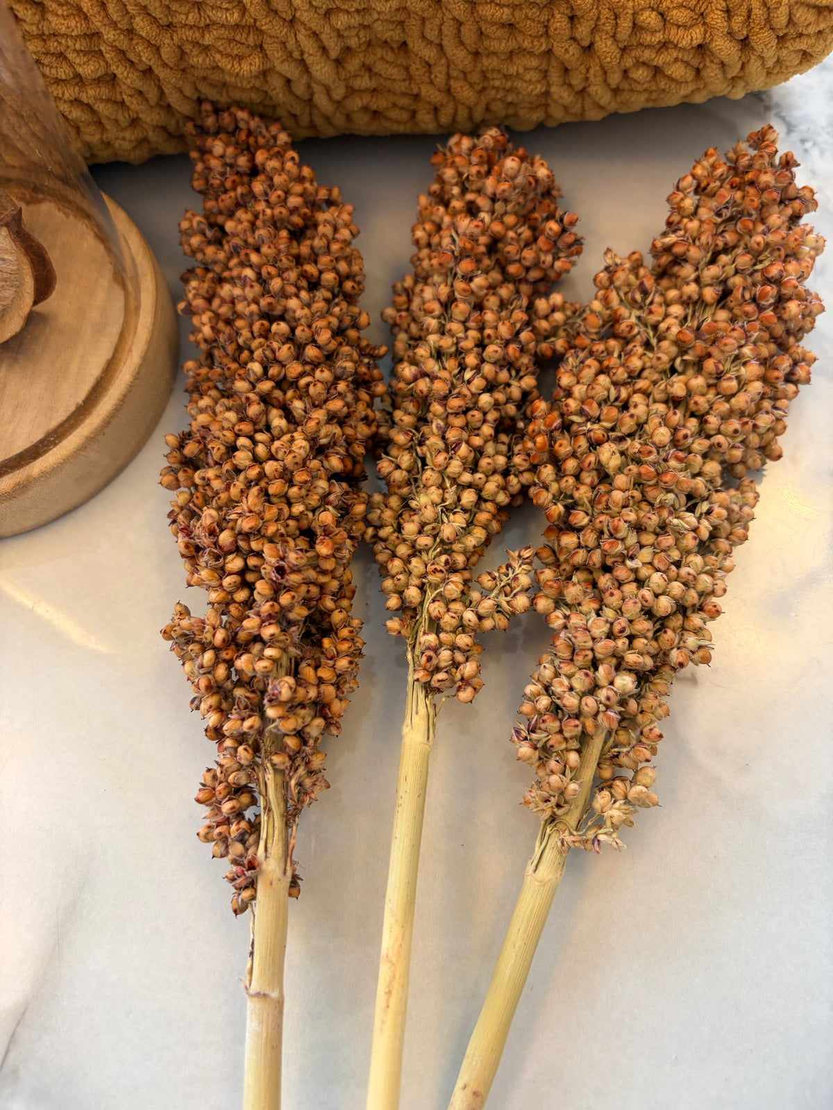 100g Natural White Sorghum Sprays