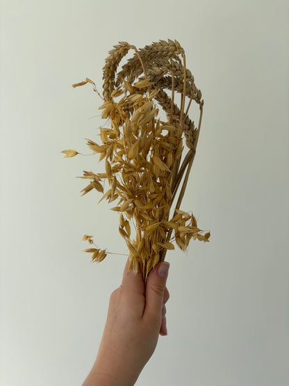50g Wheat & Oat Spray Bundle