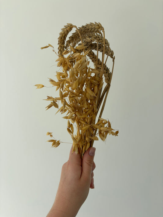 50g Wheat & Oat Spray Bundle