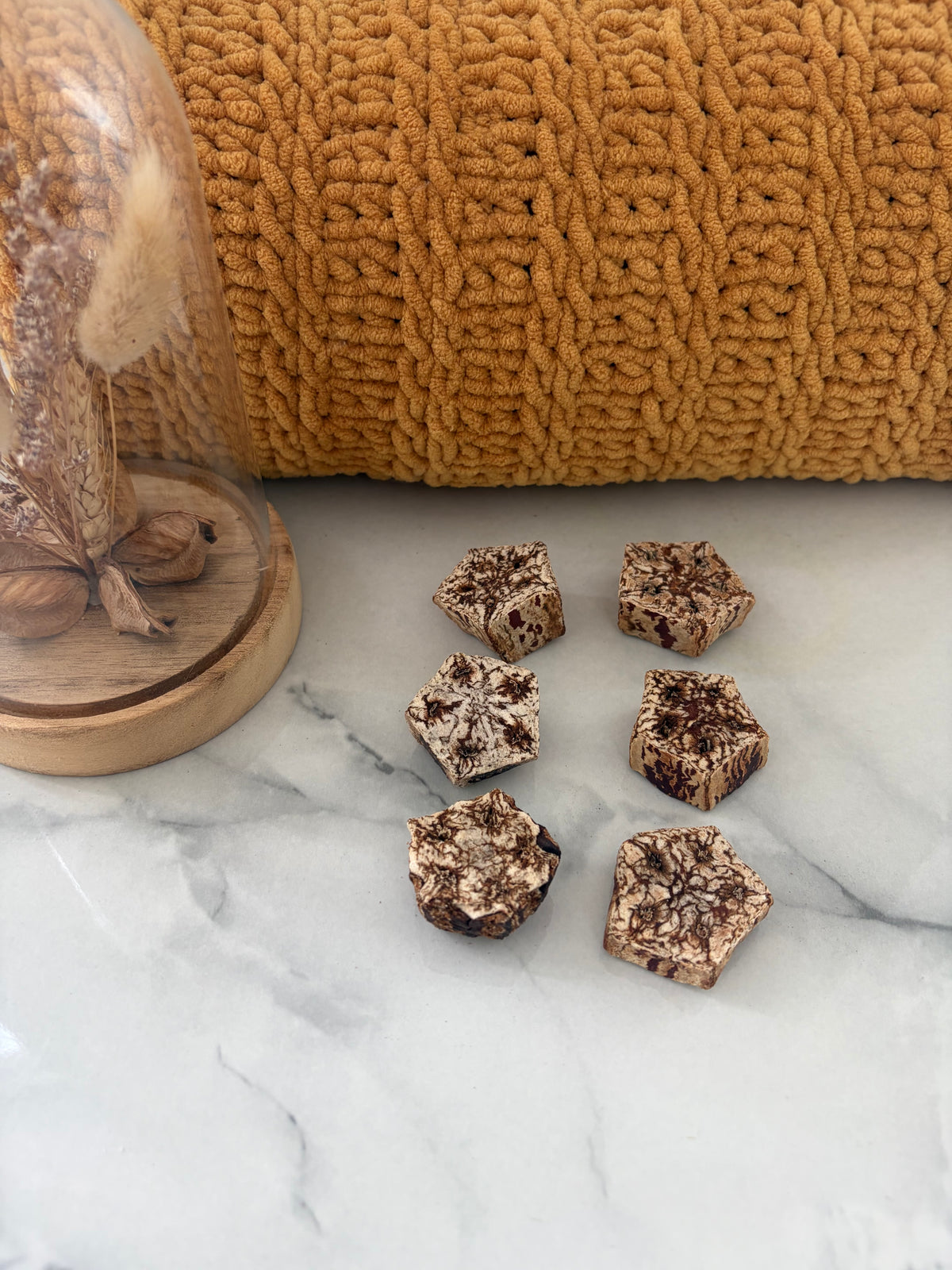 6 x Mahogany Pod Fruit Slices Chews For Small Animals