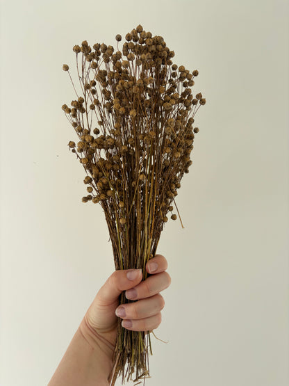25g Flax Sprays Bunch