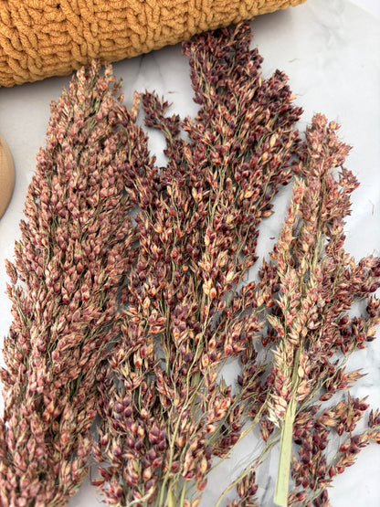 50g Schelli Seeded Sprays