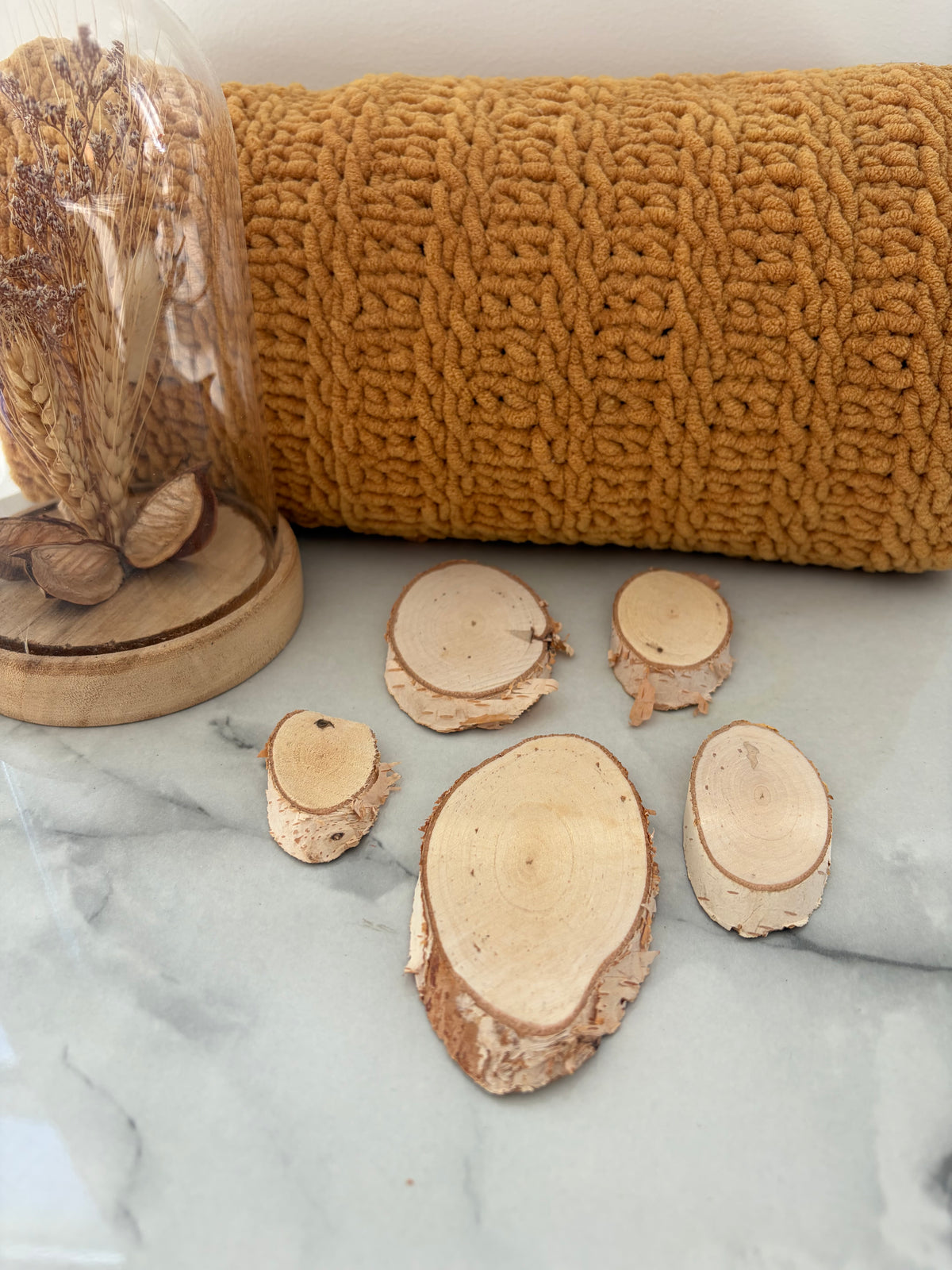 5 x Birch Slices For Hamsters, Gerbils, Rats, Mice & Guinea Pigs