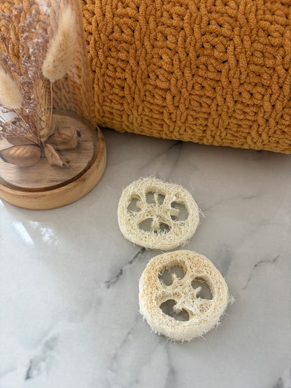 2 x Loofah Hamster, Gerbils, Rats, Mice & Bird Chews