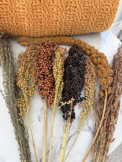 125g Variety Seeded Spray Bundle for Hamsters, Gerbils, Mice & Birds