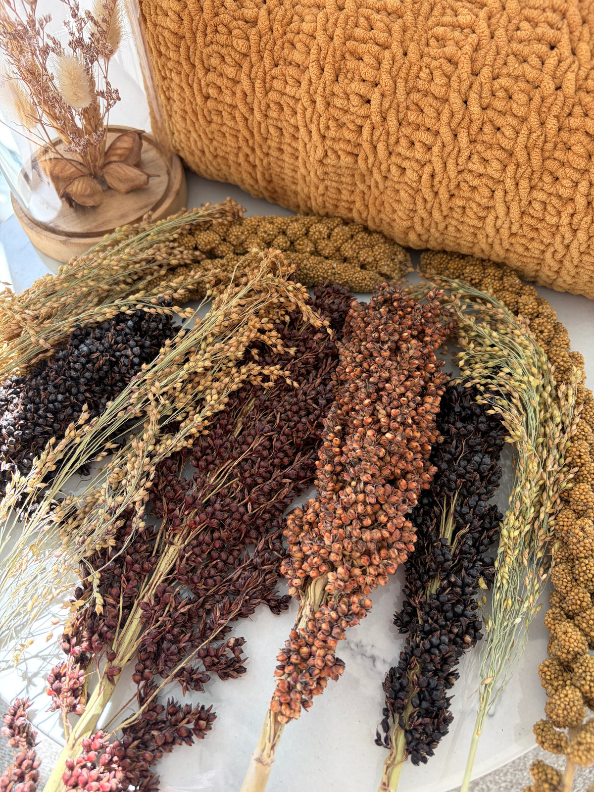 300g Variety Seeded Spray Bundle for Hamsters, Gerbils, Mice & Birds