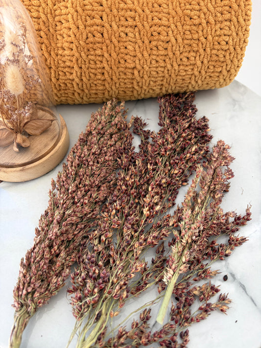 50g Schelli Seeded Sprays