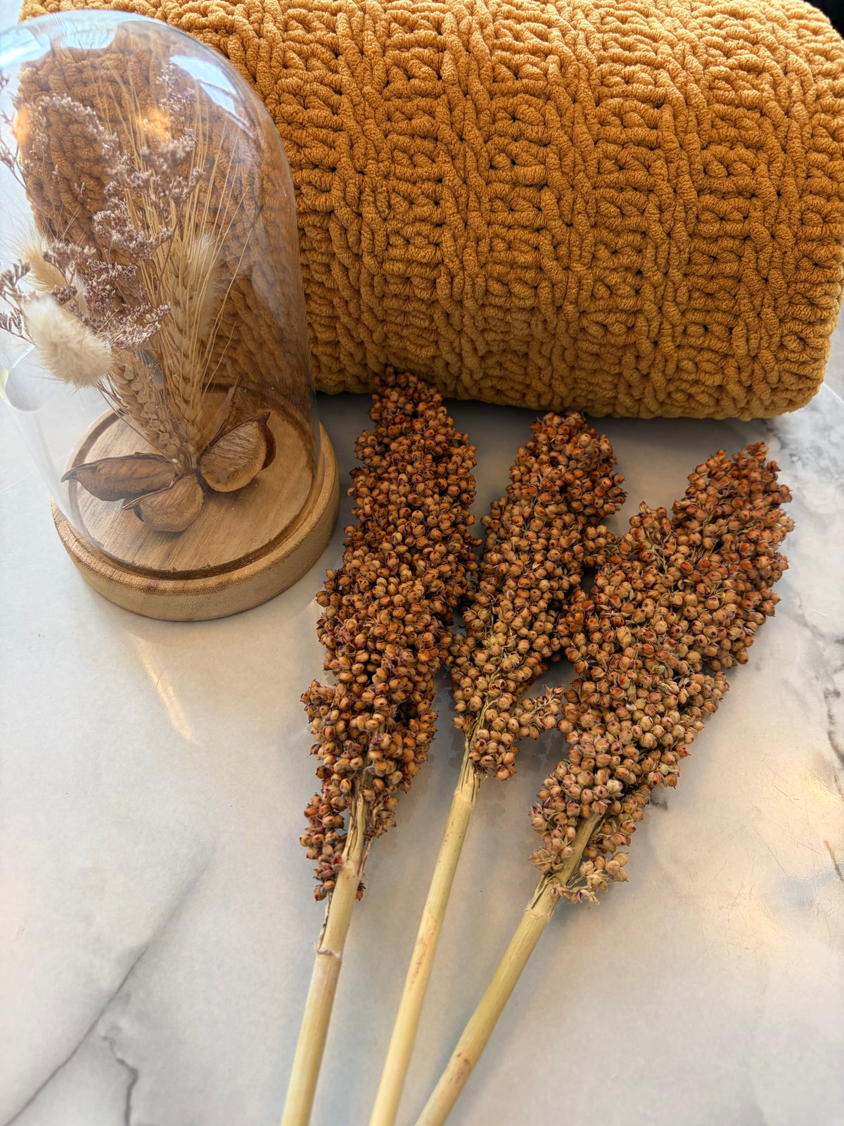 100g Natural White Sorghum Sprays