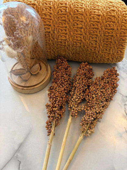 100g Natural White Sorghum Sprays