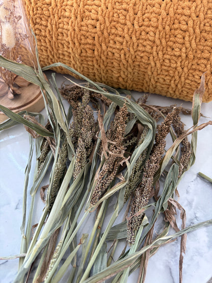 50g Japanese Millet Sprays
