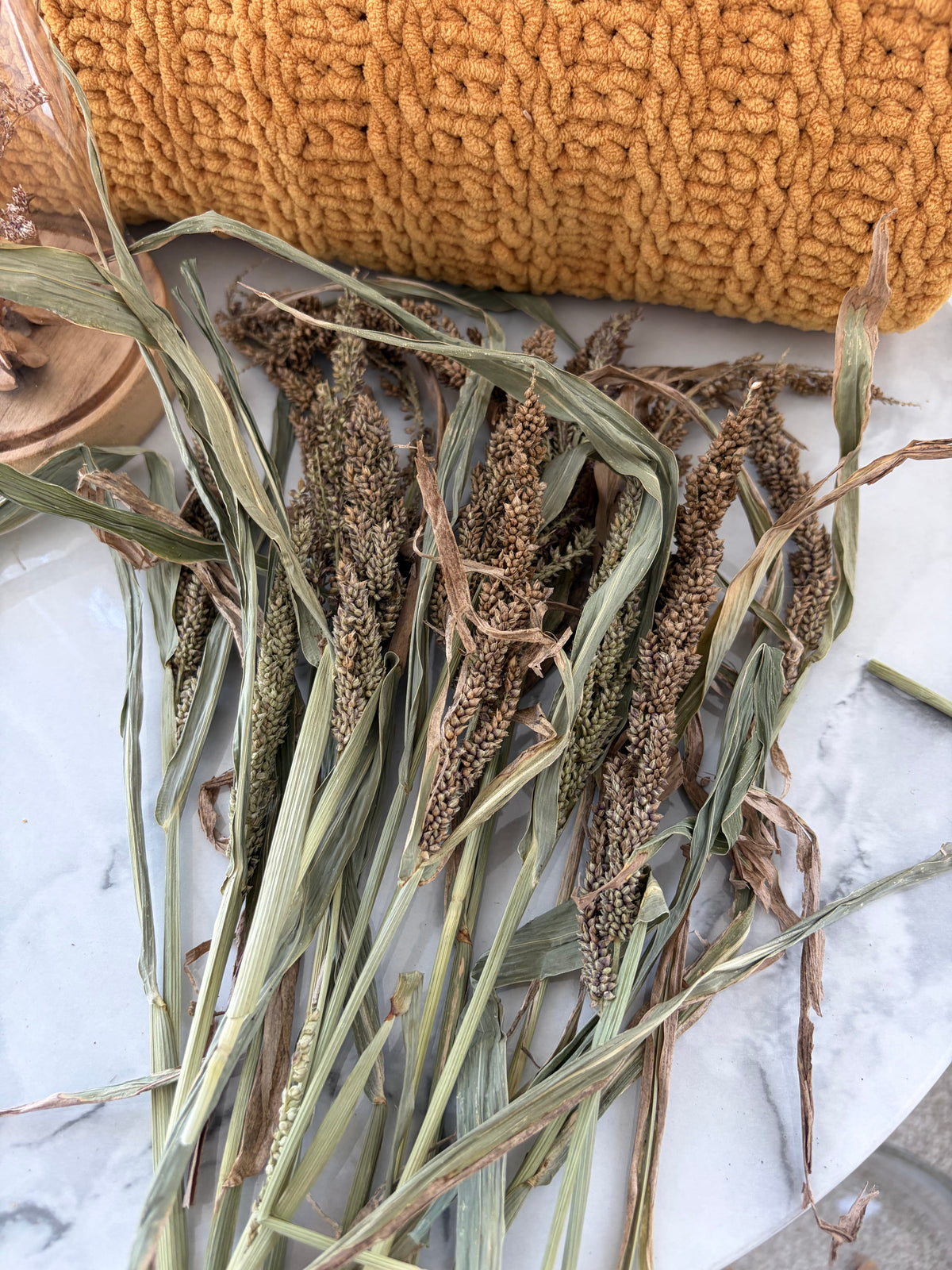 50g Japanese Millet Sprays