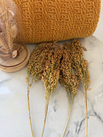 50g Silver Millet