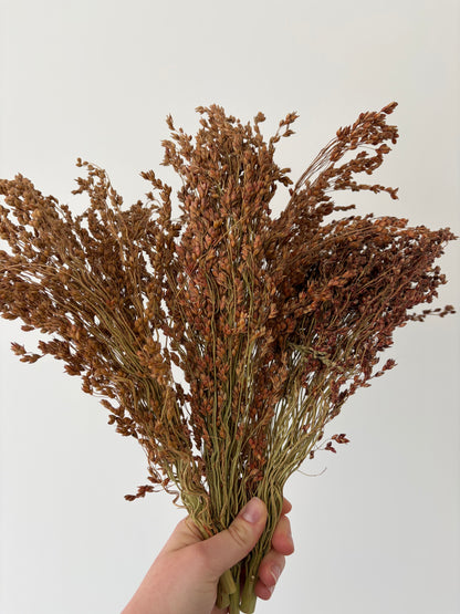 90-100g Broom Millet Sprays