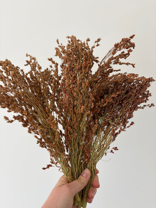 90-100g Broom Millet Sprays