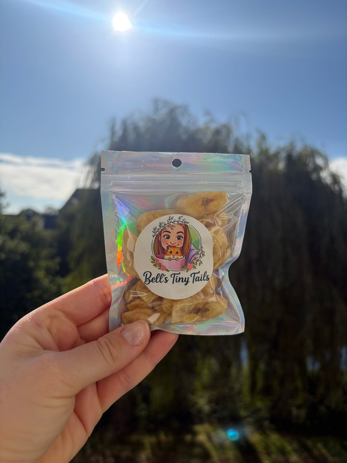 25g Organic Dried Banana Treats