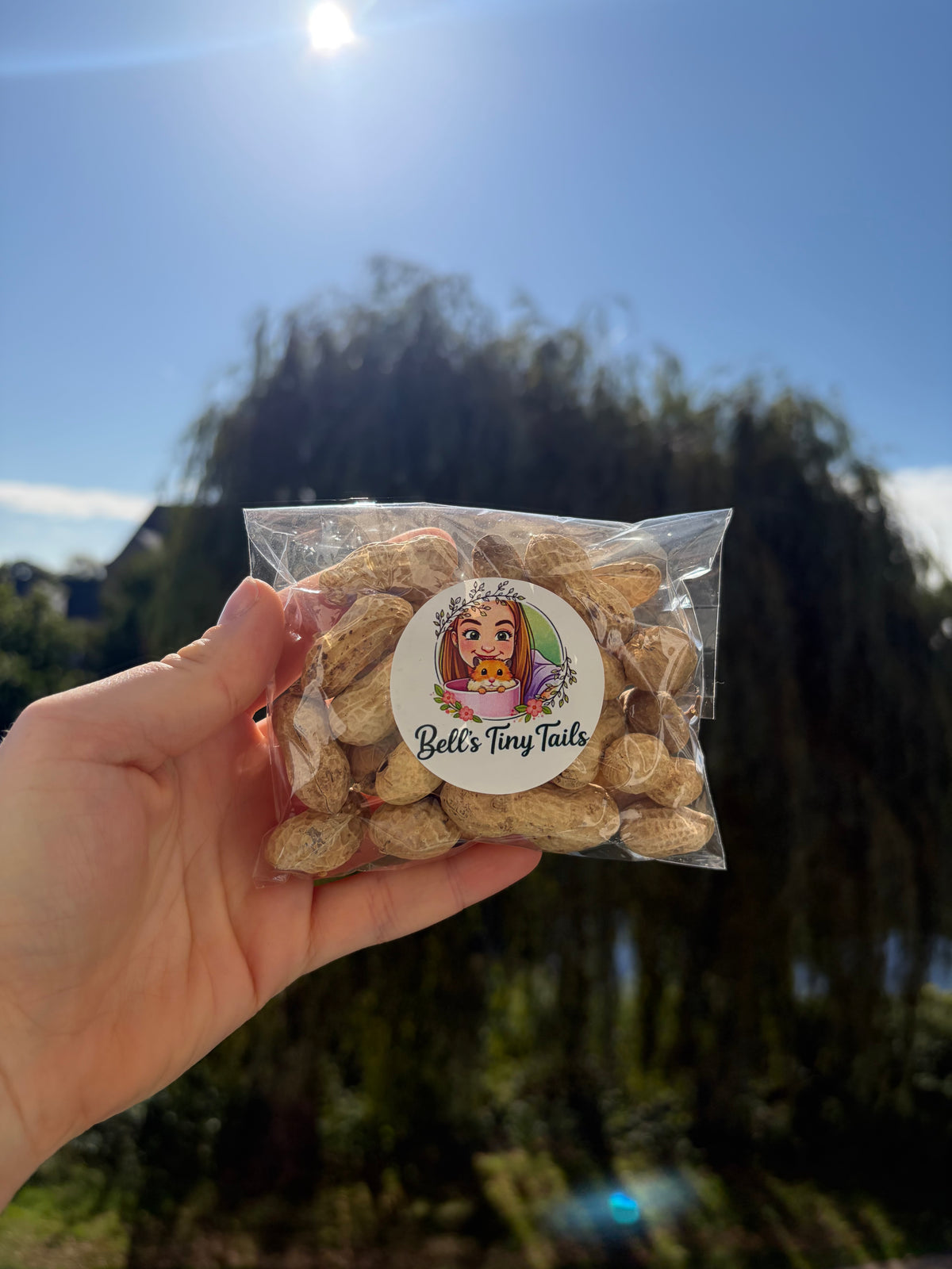 50g Monkey Nuts Treats