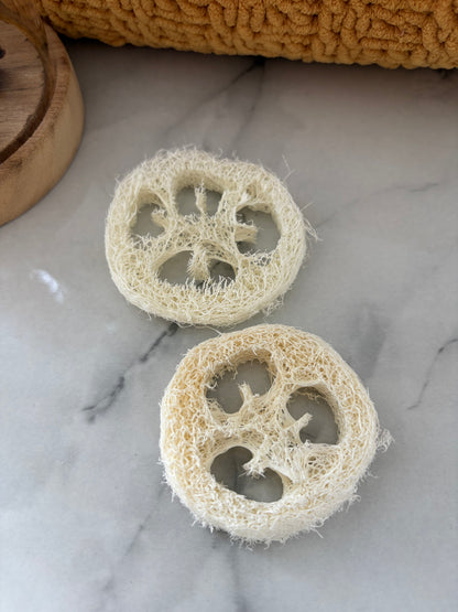 2 x Loofah Hamster, Gerbils, Rats, Mice & Bird Chews