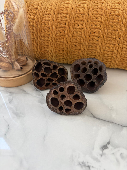 3 x Small Lotus Pods