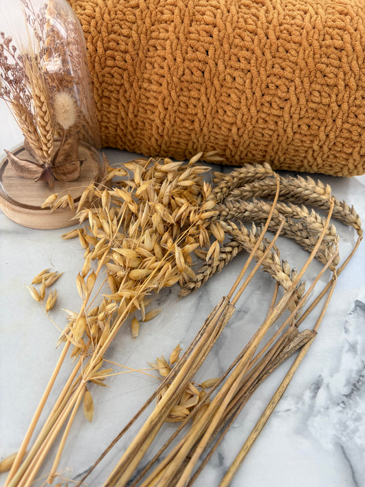 50g Wheat & Oat Spray Bundle